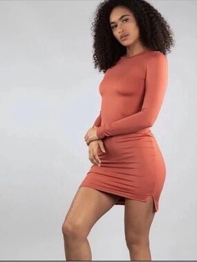 BuffBunny Collection Long-Sleeve Bodycon Mini Dress in Terracotta